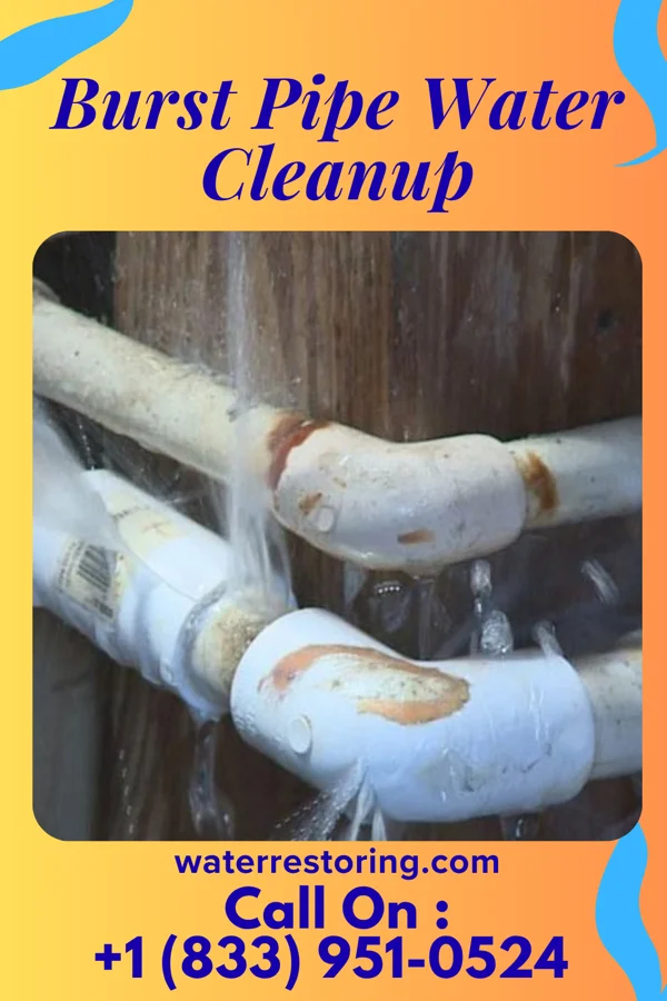 Burst Pipe Water Cleanup in Worthington, WV