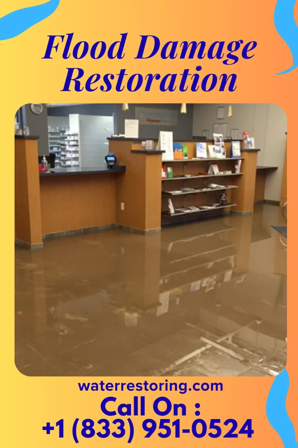 Flood Damage Restoration in Worthington, WV