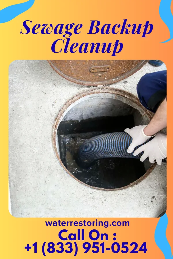 Sewage Backup Cleanup in Worthington, WV