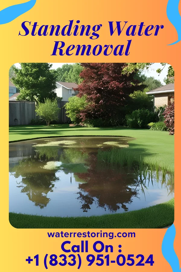 Standing Water Removal in Worthington, WV
